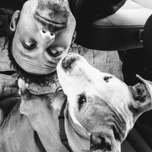 Meet your Posher, Donald